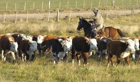 exportaciones argentinas de lácteos 2025